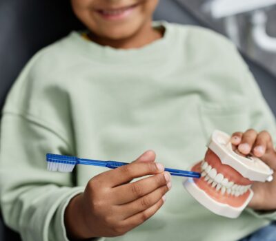 envato-labs-image-edit (12) child with model of teeth early orthodontic evaluation